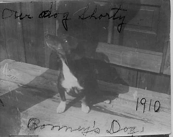 1910-Bonney-family-dog-Shorty_