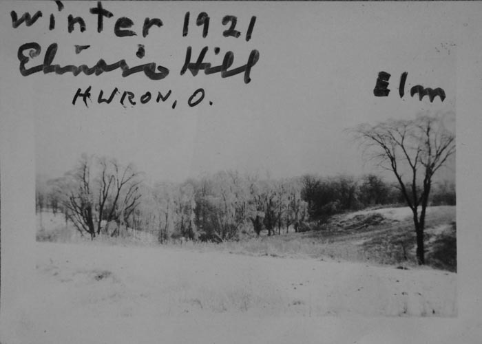 Winter at Elinor's Hill on Hahn Road