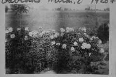 Elinors-photos-for-early-1920-2