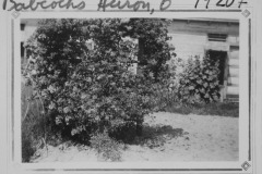 Elinor's garden in Huron